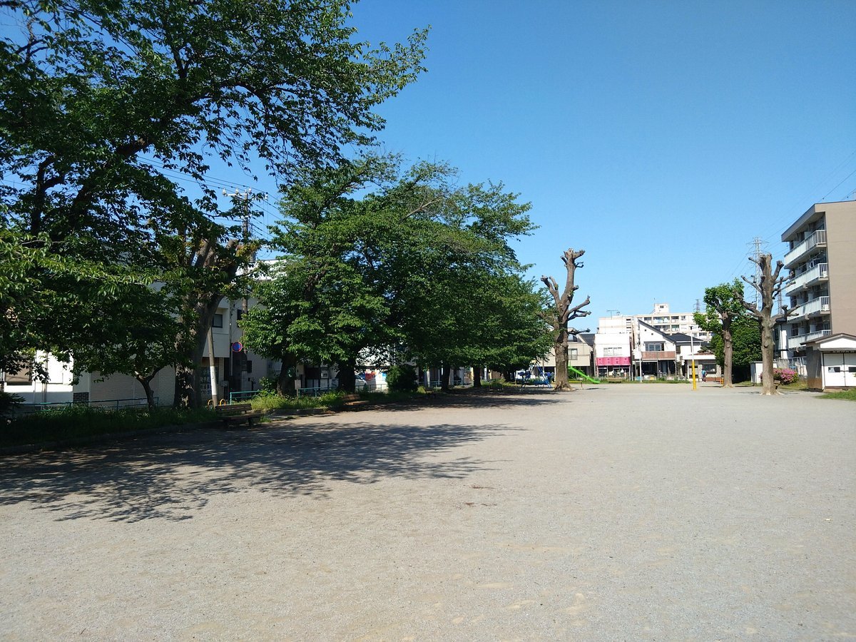 🌳 꽃섬 공원 (하나시마 코엔) 이미지 7